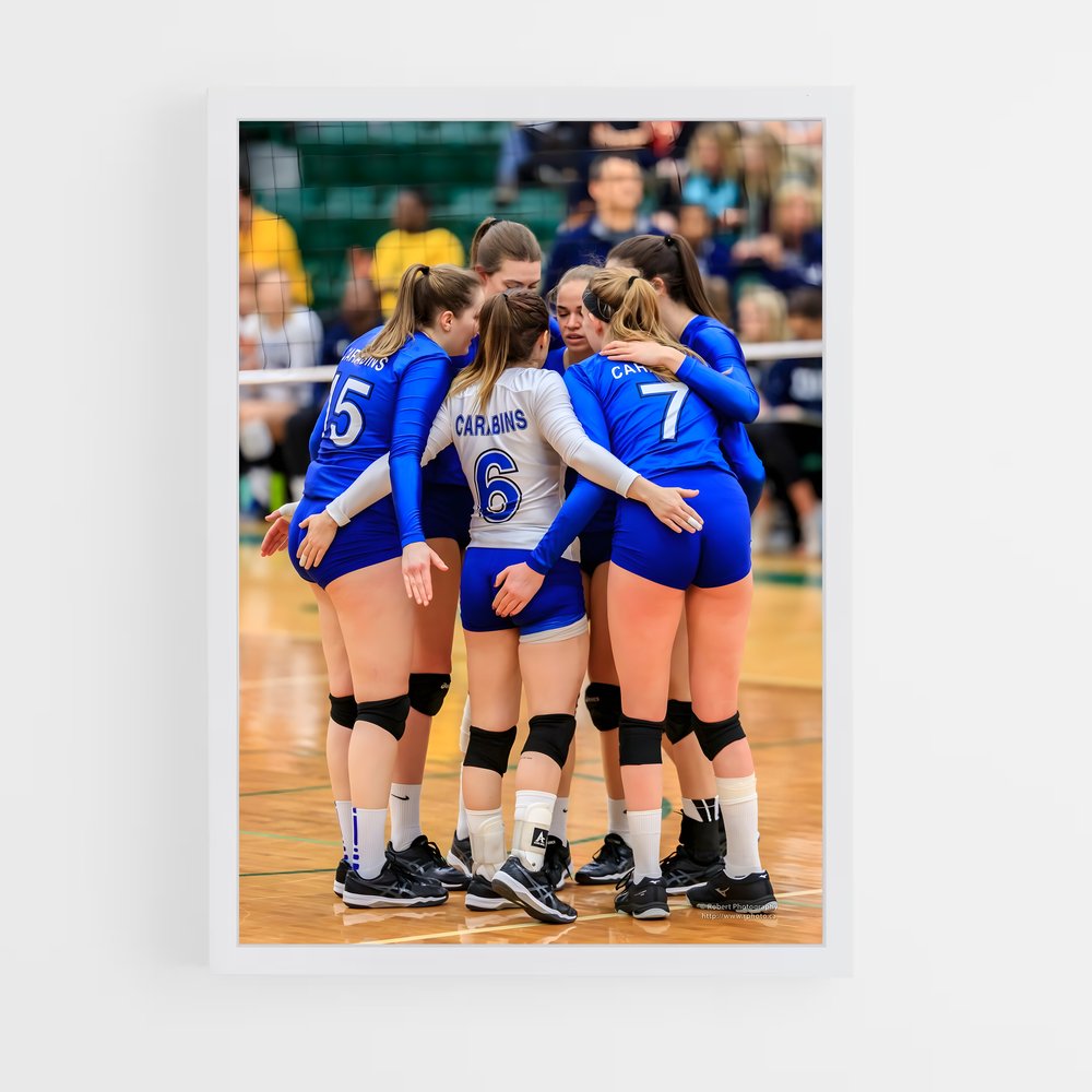 Poster Volleyball world regroupe (vue 3)